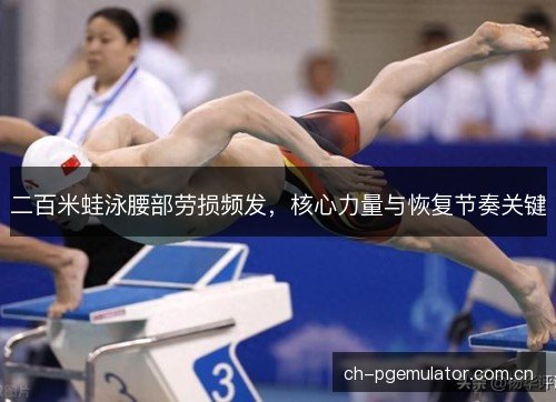 二百米蛙泳腰部劳损频发,核心力量与恢复节奏关键 二百米蛙泳腰部劳损频发,核心力量与恢复节奏关键